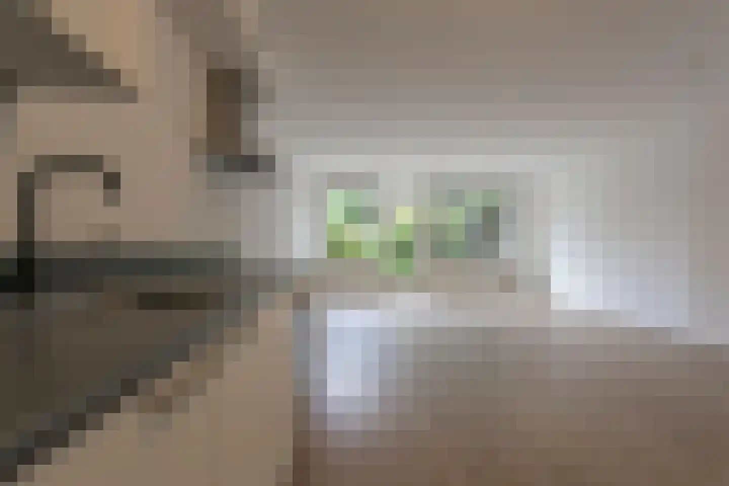 Gasthuisstraat 30 Steenwijk thumbnail 6