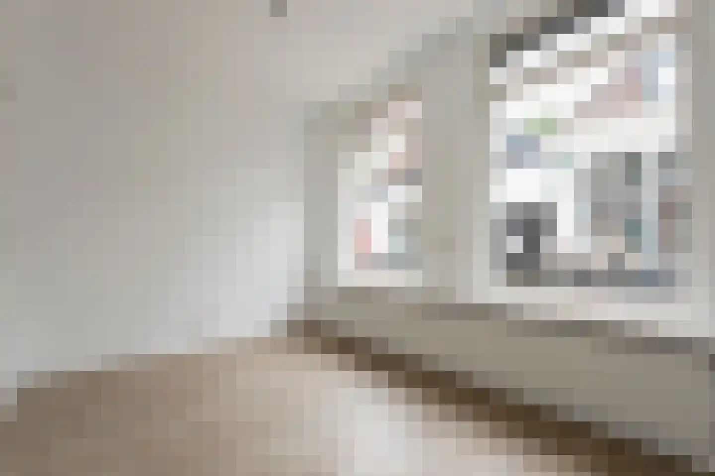 Gasthuisstraat 30 Steenwijk thumbnail 9