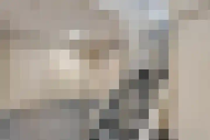 Gasthuisstraat 31 Steenwijk thumbnail 9