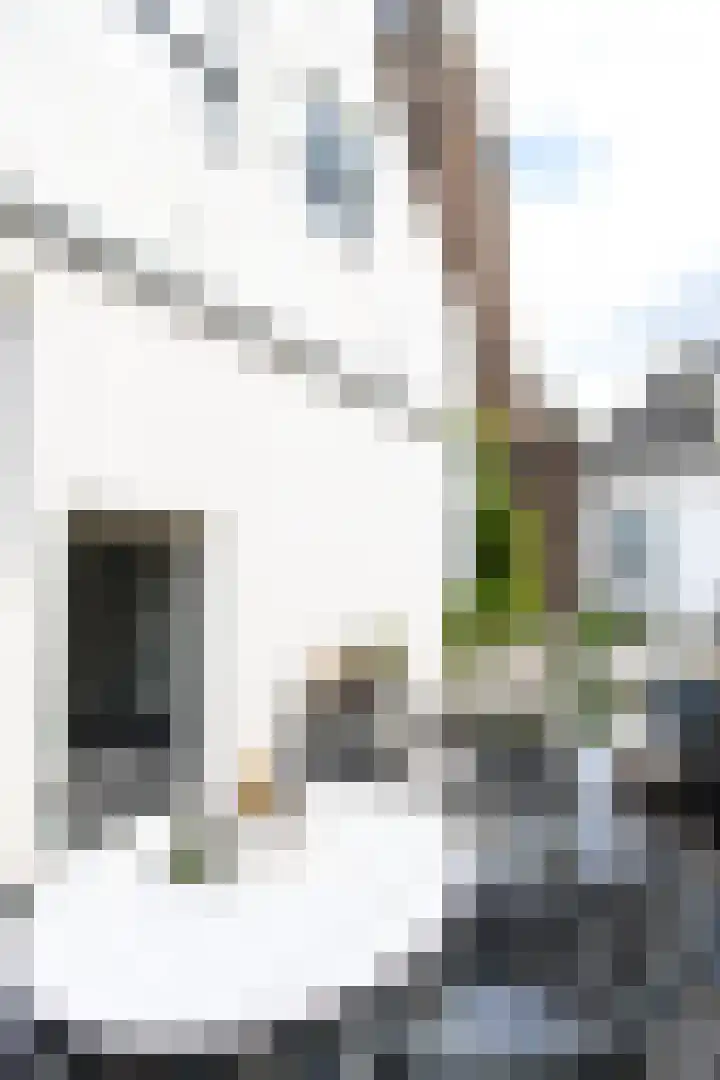 Gasthuisstraat 32 Zaltbommel thumbnail 26