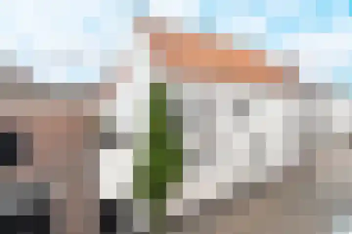 Gasthuisstraat 32 Zaltbommel thumbnail 84
