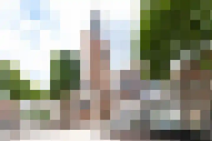 Gasthuisstraat 32 Zaltbommel thumbnail 86