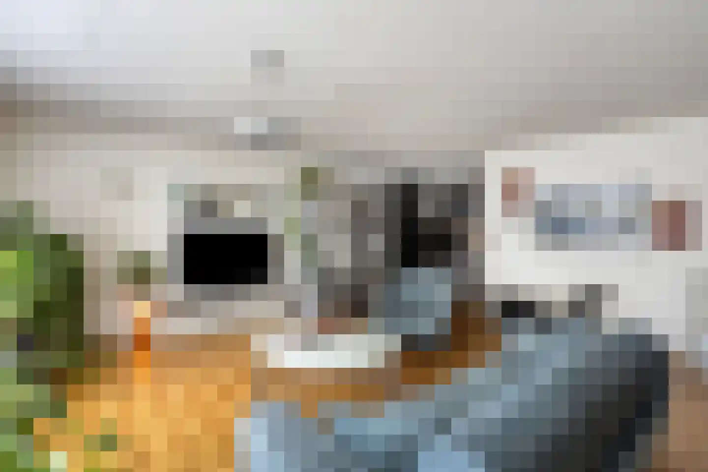 Gasthuisstraat 36 Tegelen thumbnail 15