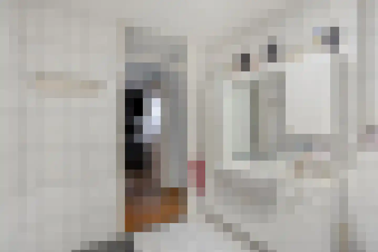 Gasthuisstraat 36 Tegelen thumbnail 24