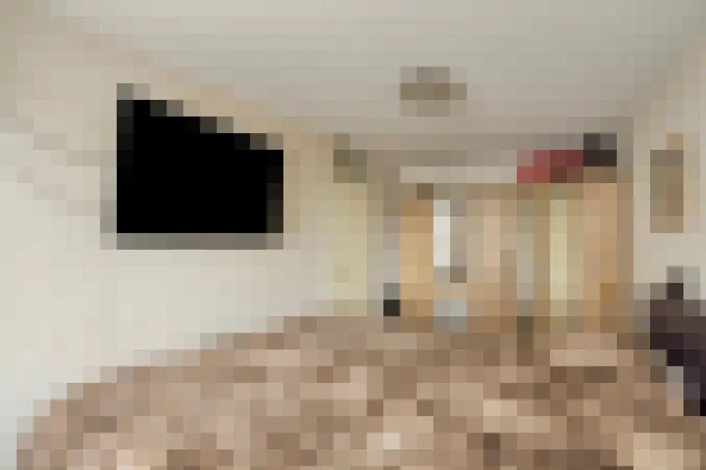 Gasthuisstraat 36 Tegelen thumbnail 25