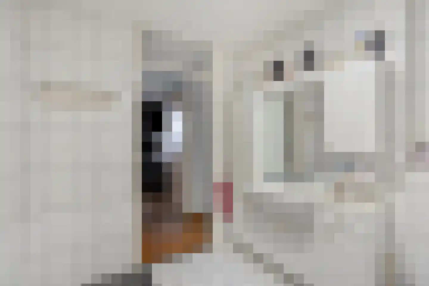 Gasthuisstraat 36 Tegelen thumbnail 27