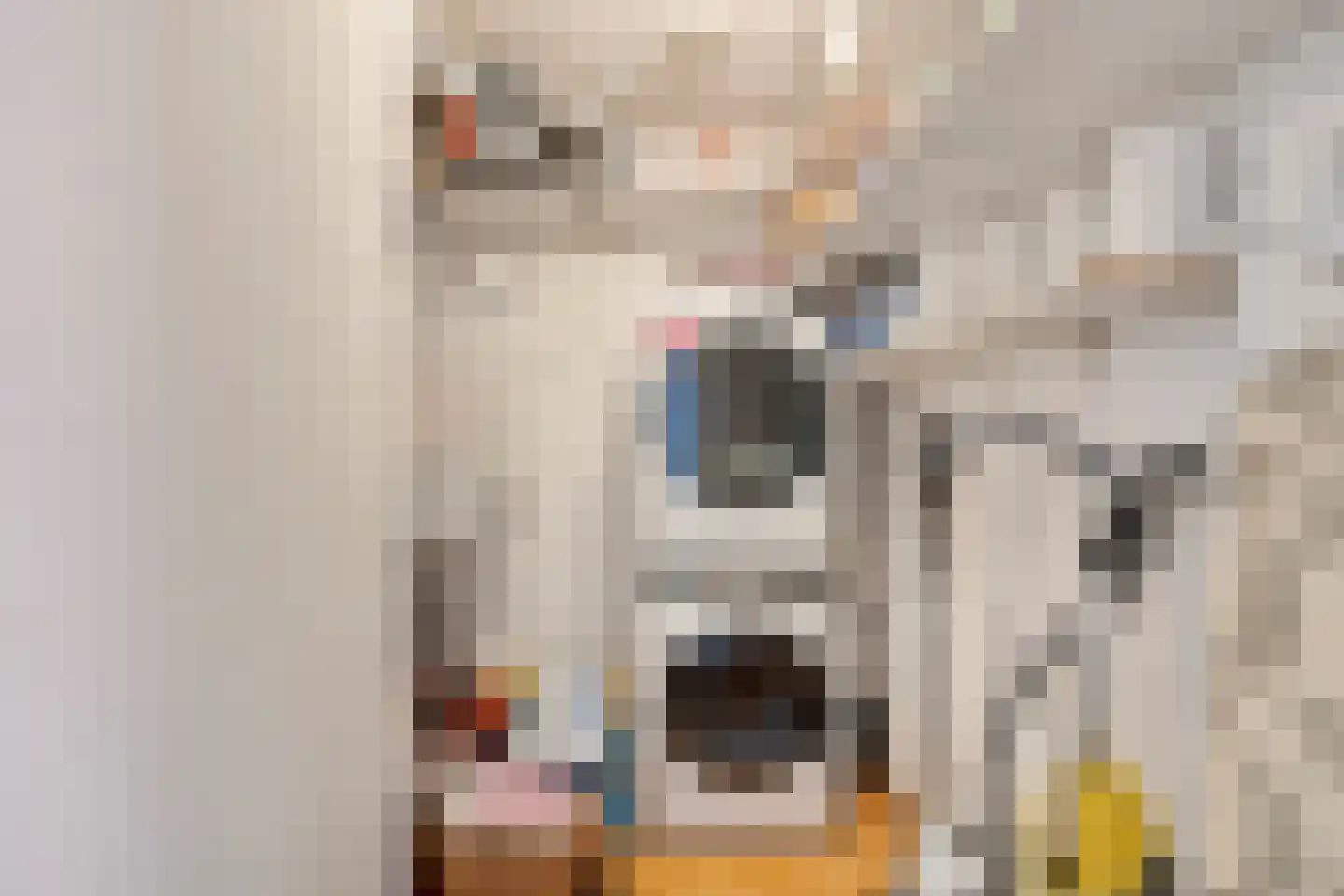 Gasthuisstraat 36 Tegelen thumbnail 29