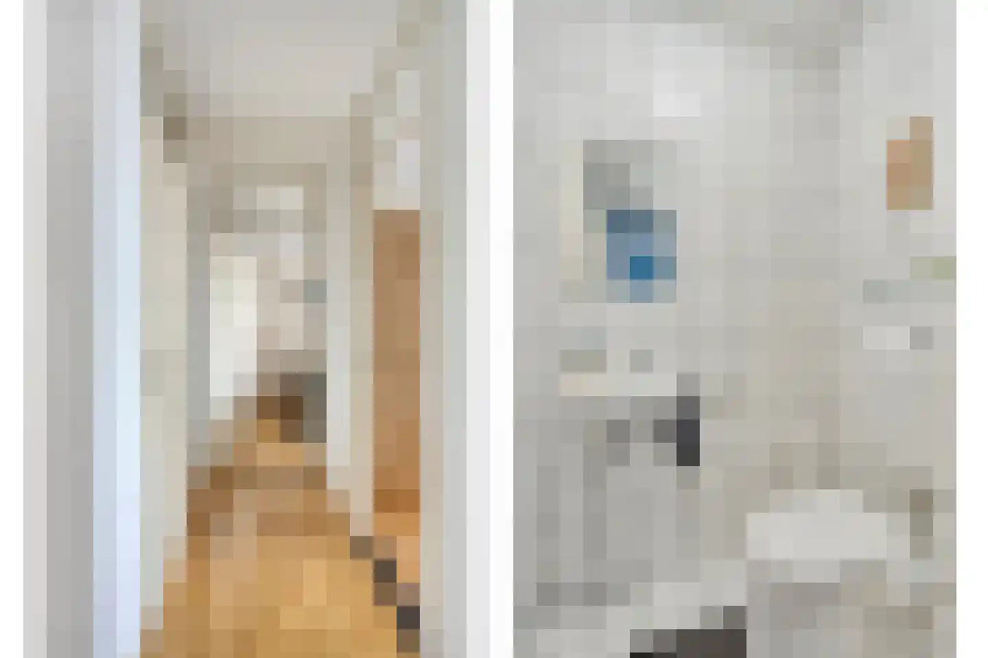 Gasthuisstraat 36 Tegelen thumbnail 8