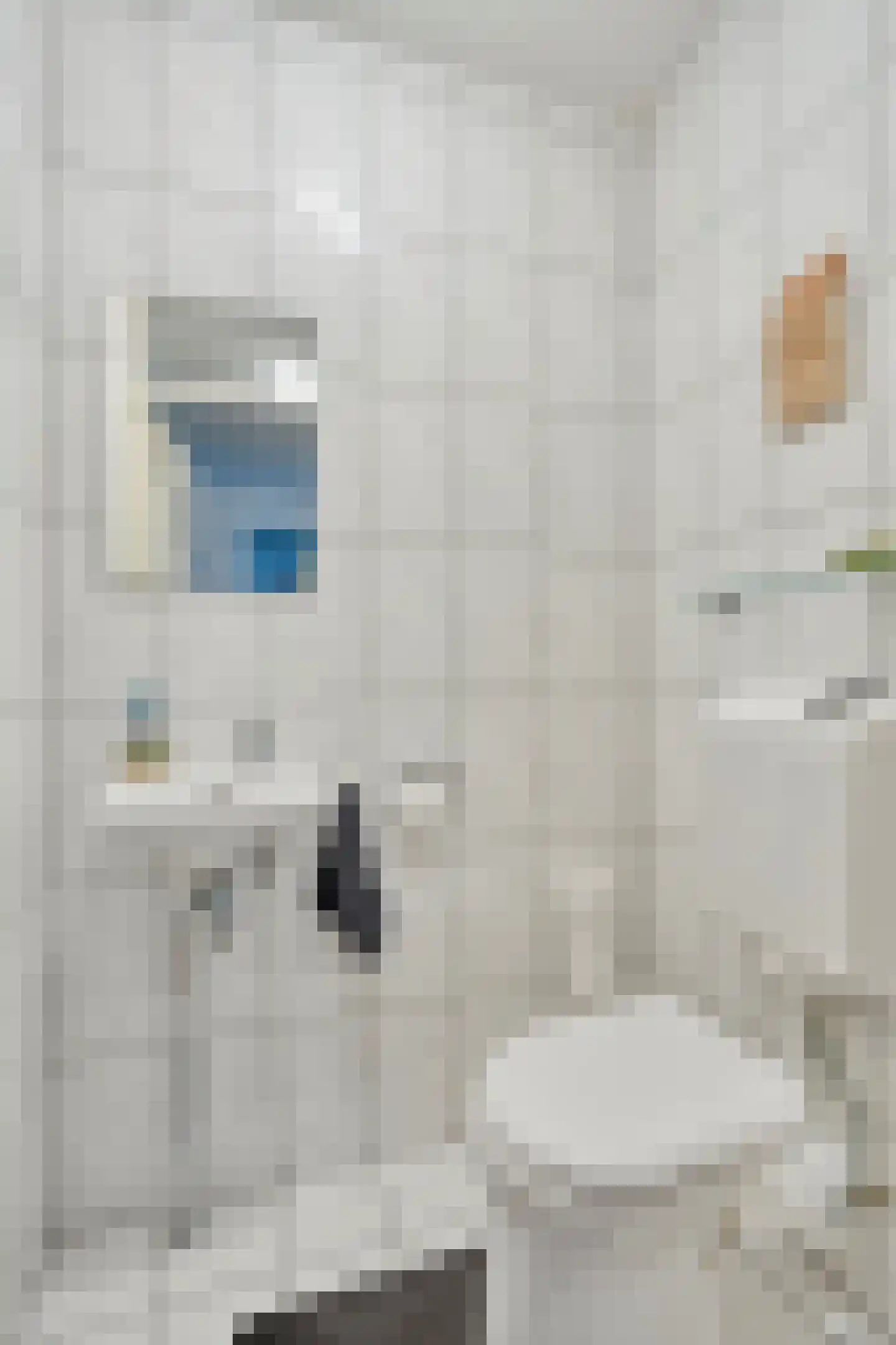 Gasthuisstraat 36 Tegelen thumbnail 9