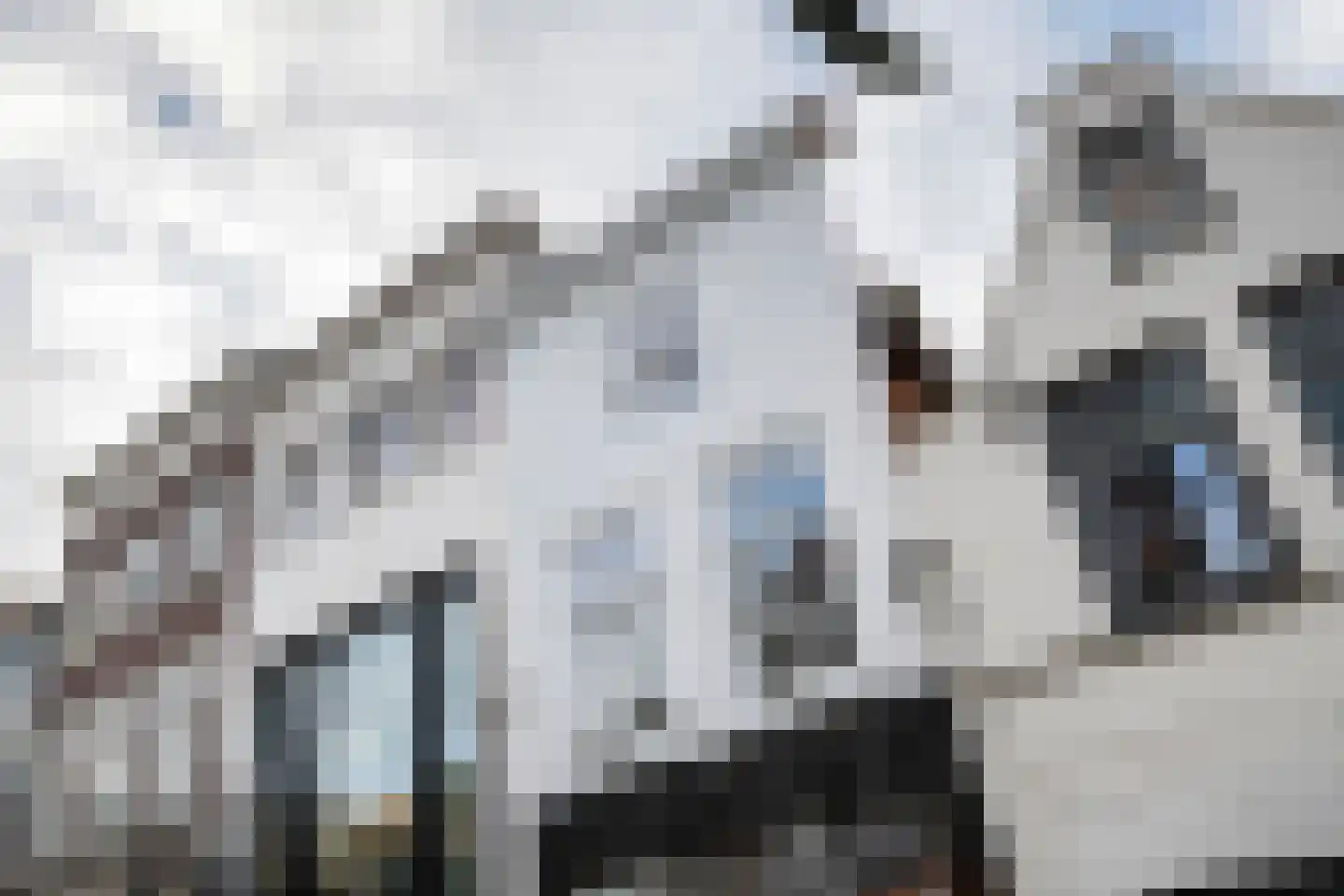 Gasthuisstraat 37 a Gorinchem thumbnail 4