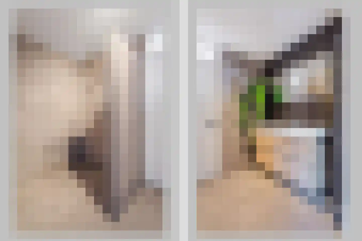 Gasthuisstraat 4 Oldenzaal thumbnail 4