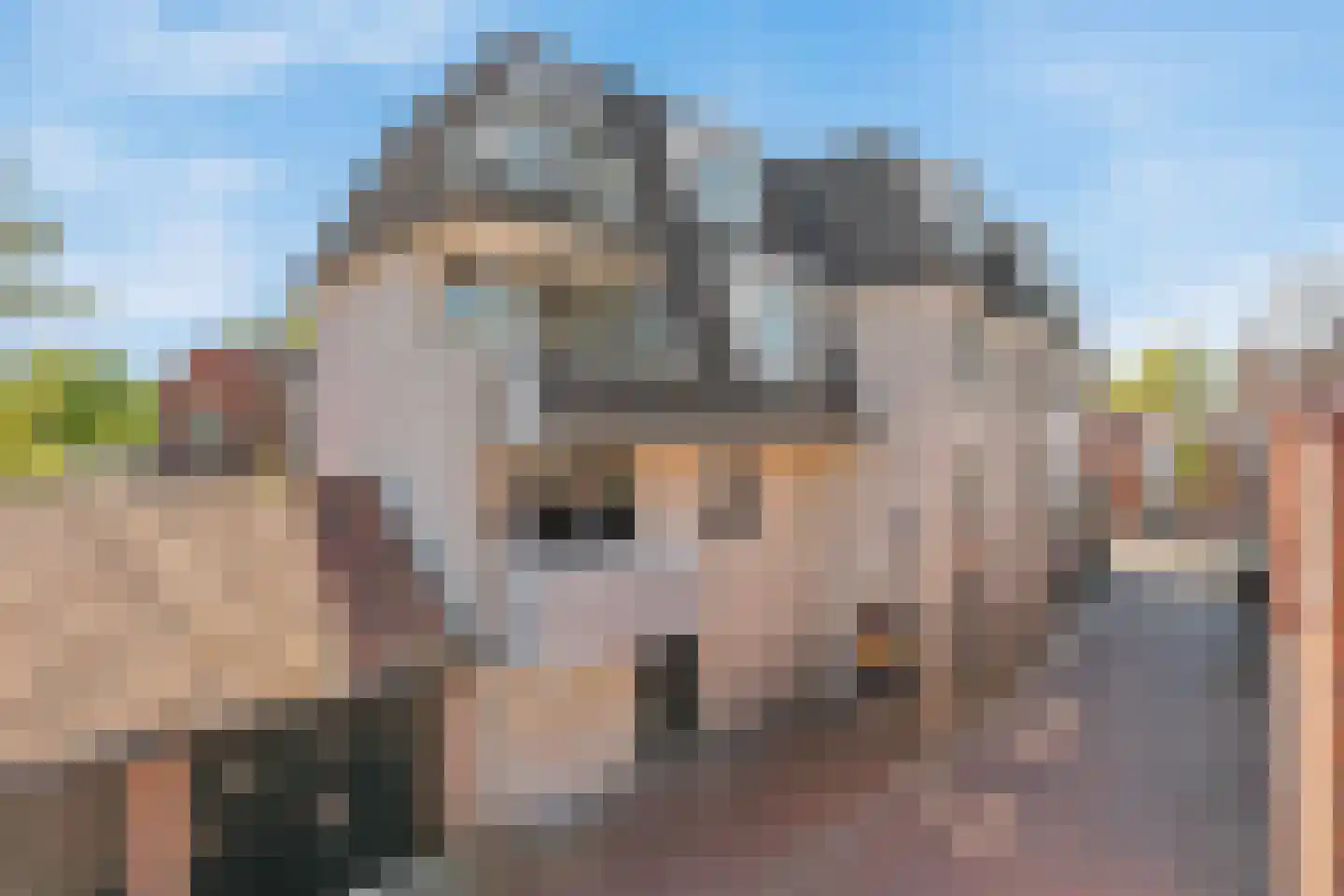 Gasthuisstraat 4 Oldenzaal thumbnail 5
