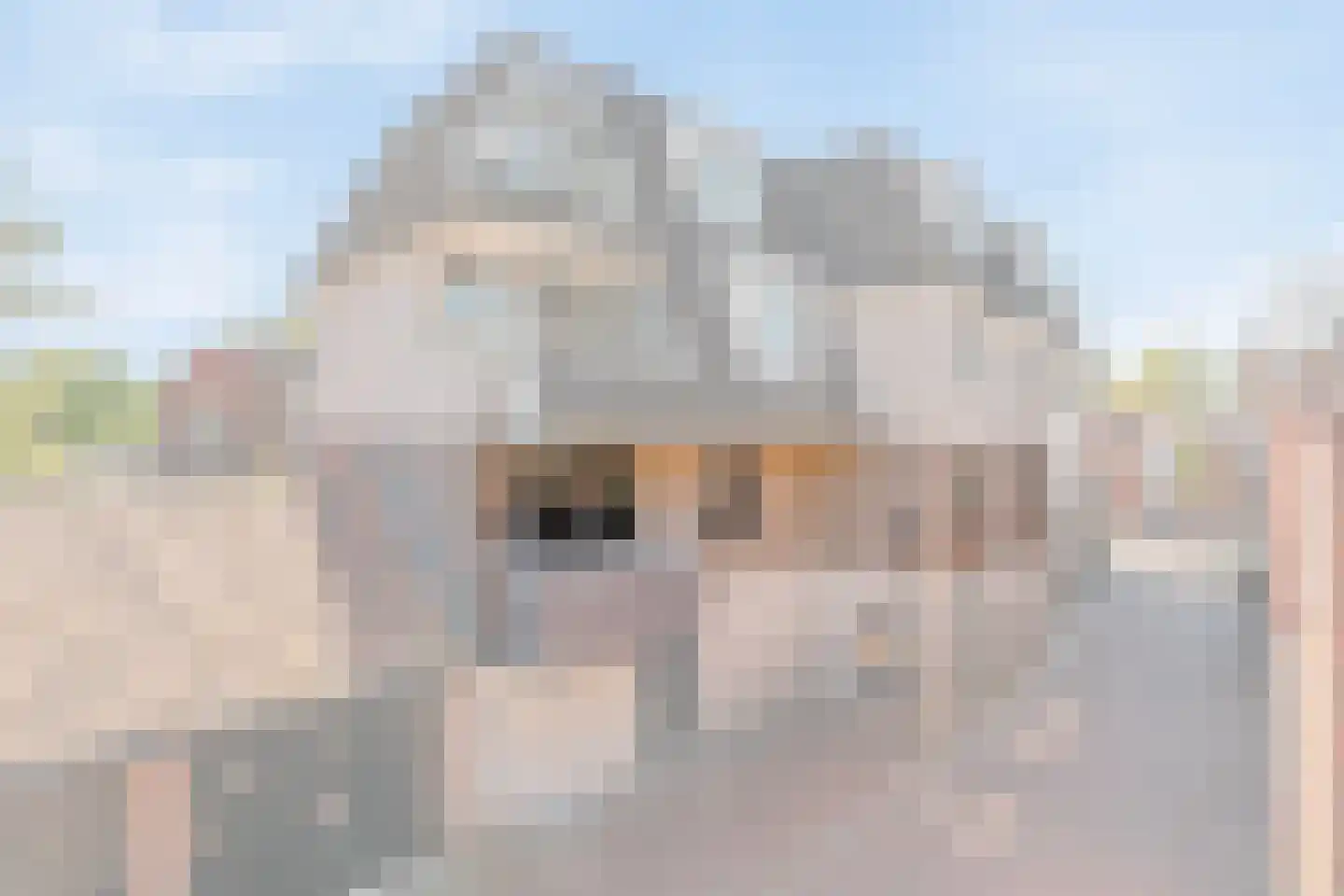 Gasthuisstraat 4 Oldenzaal thumbnail 6