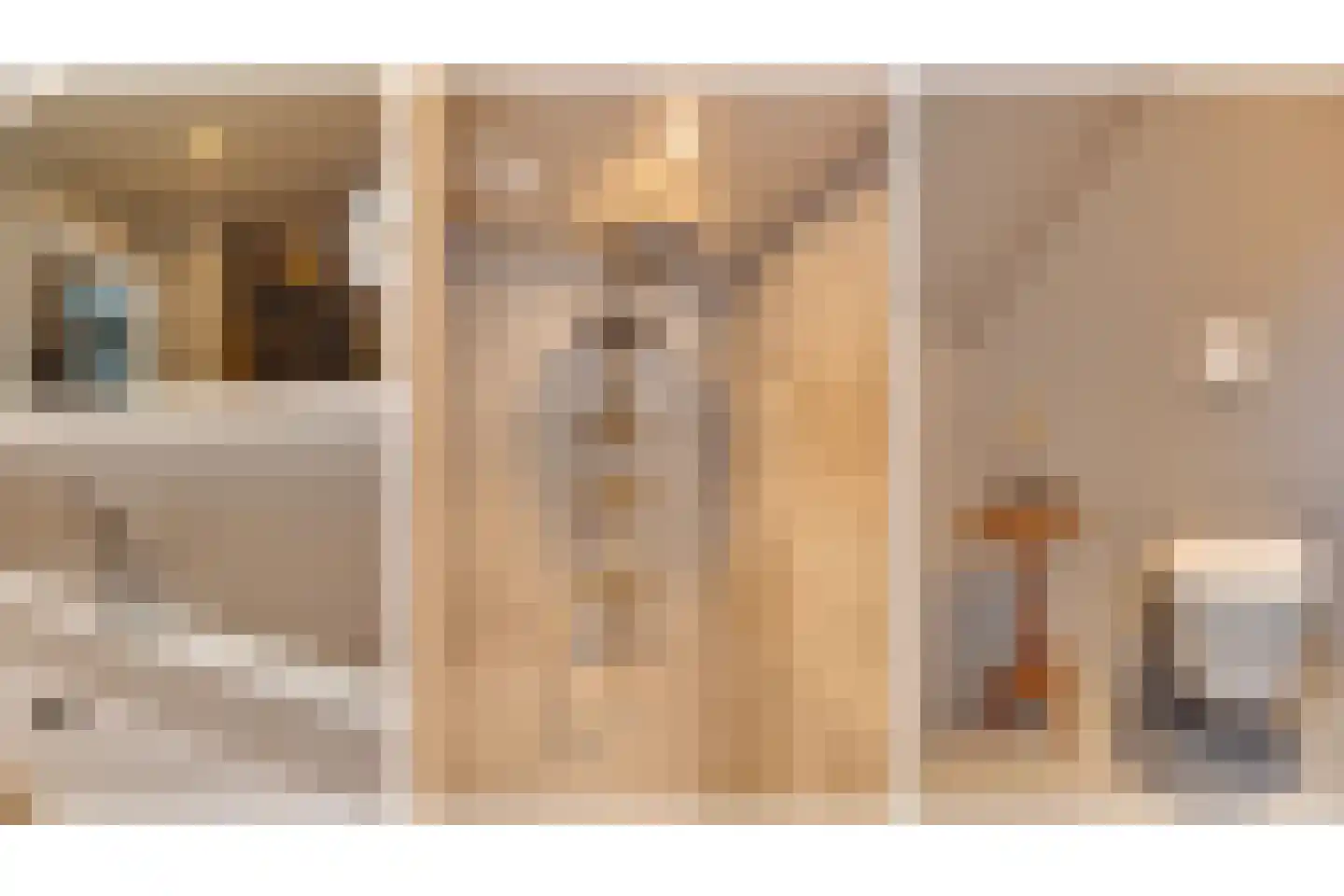 Gasthuisstraat 4 Rhenen thumbnail 28