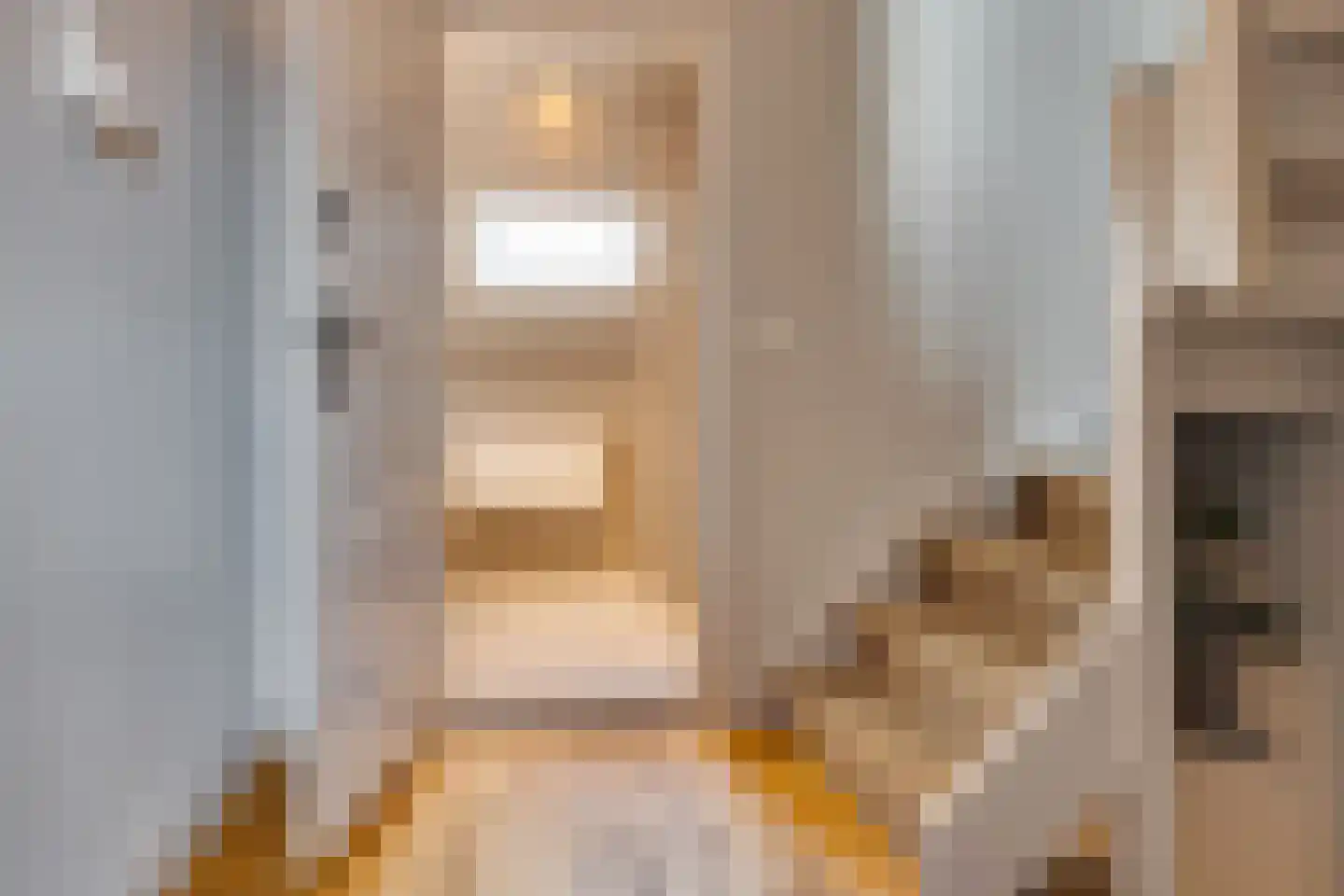 Gasthuisstraat 4 Rhenen thumbnail 29