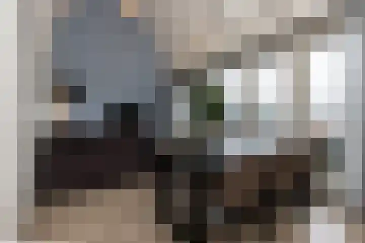 Gasthuisstraat 40 Kerkdriel thumbnail 10