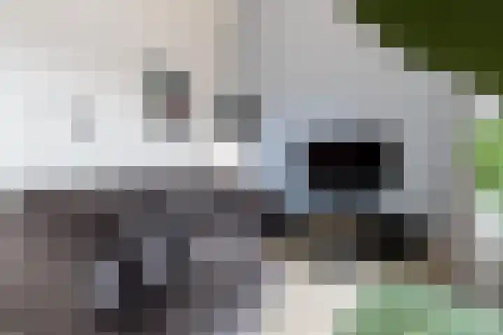 Gasthuisstraat 40 Kerkdriel thumbnail 11