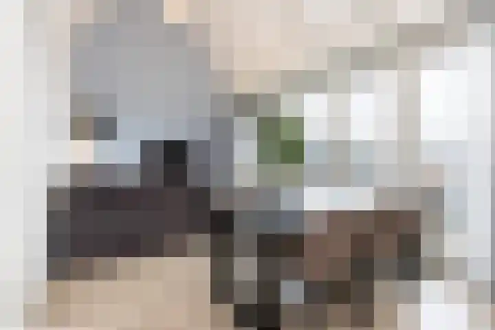 Gasthuisstraat 40 Kerkdriel thumbnail 13