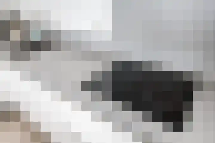 Gasthuisstraat 40 Kerkdriel thumbnail 4