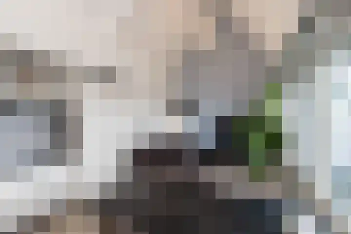 Gasthuisstraat 40 Kerkdriel thumbnail 7