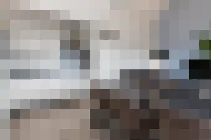 Gasthuisstraat 40 Kerkdriel thumbnail 8