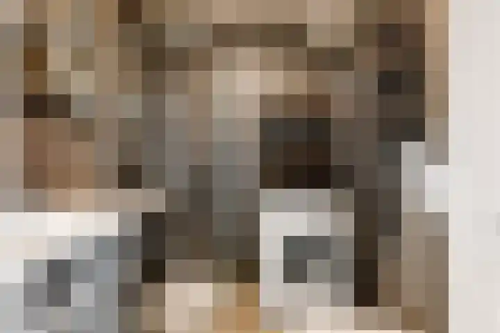 Gasthuisstraat 42 Tiel thumbnail 18
