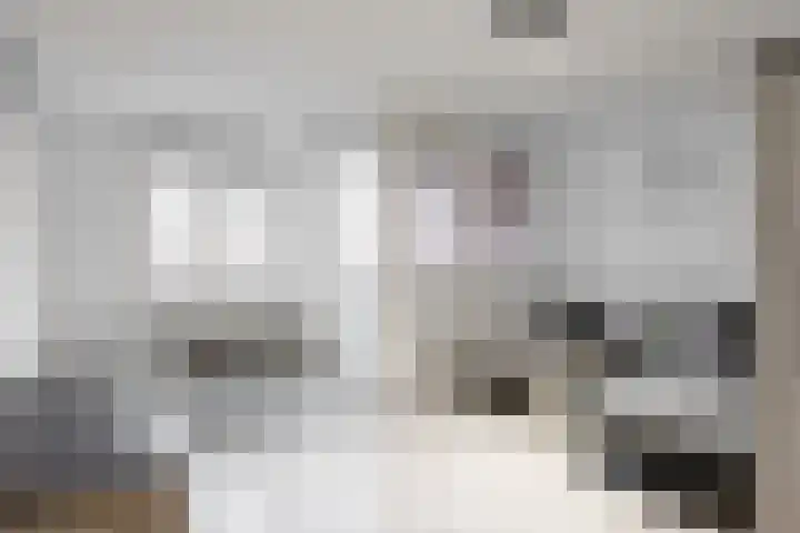 Gasthuisstraat 42 Tiel thumbnail 8