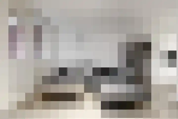 Gasthuisstraat 42 Tiel thumbnail 9