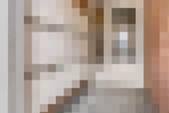 Gasthuisstraat 44 Tiel thumbnail 28