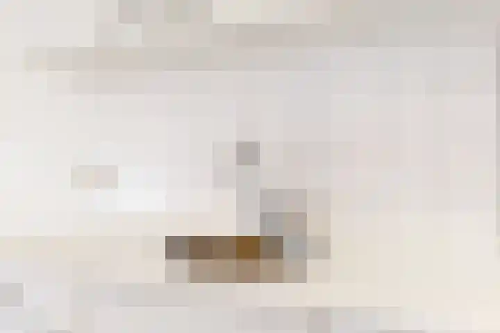 Gasthuisstraat 44 Tiel thumbnail 9