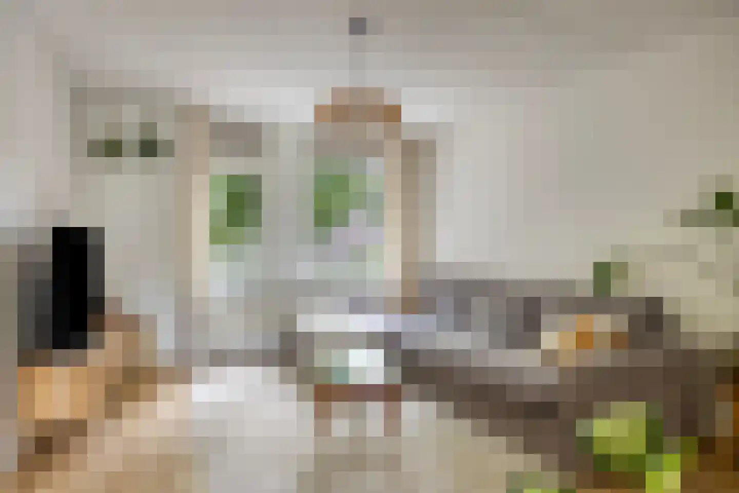 Gasthuisstraat 47 Oirschot thumbnail 15