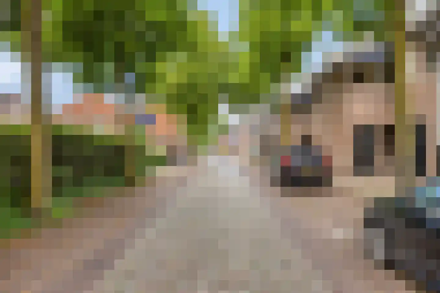 Gasthuisstraat 47 Oirschot thumbnail 42