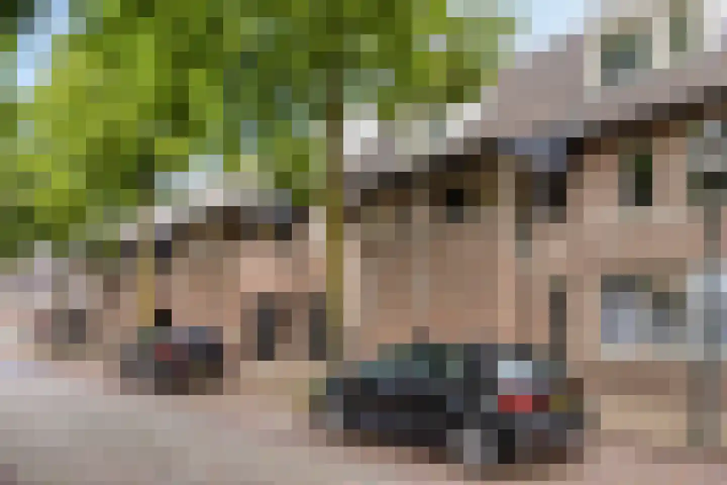 Gasthuisstraat 47 Oirschot thumbnail 6