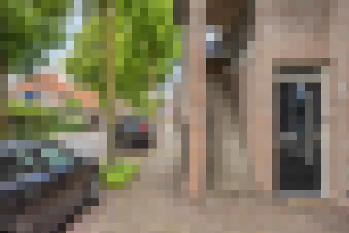 Gasthuisstraat 47 Oirschot thumbnail 7