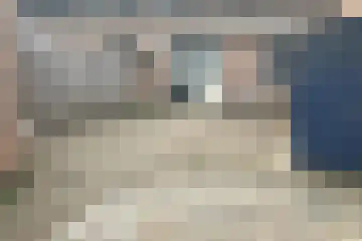 Gasthuisstraat 49 Oirschot thumbnail 17