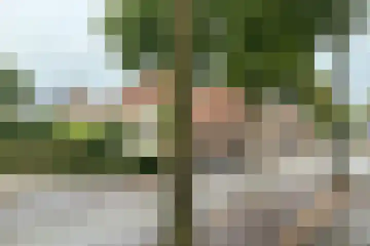Gasthuisstraat 49 Oirschot thumbnail 21