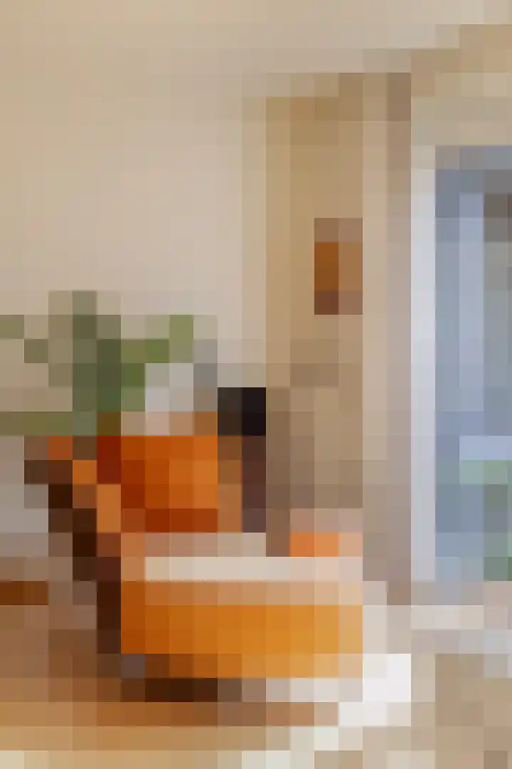 Gasthuisstraat 5 Gemonde thumbnail 13