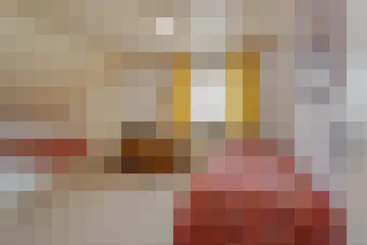 Gasthuisstraat 5 Gemonde thumbnail 20
