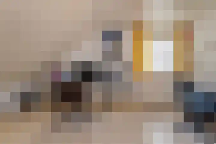 Gasthuisstraat 5 Gemonde thumbnail 22