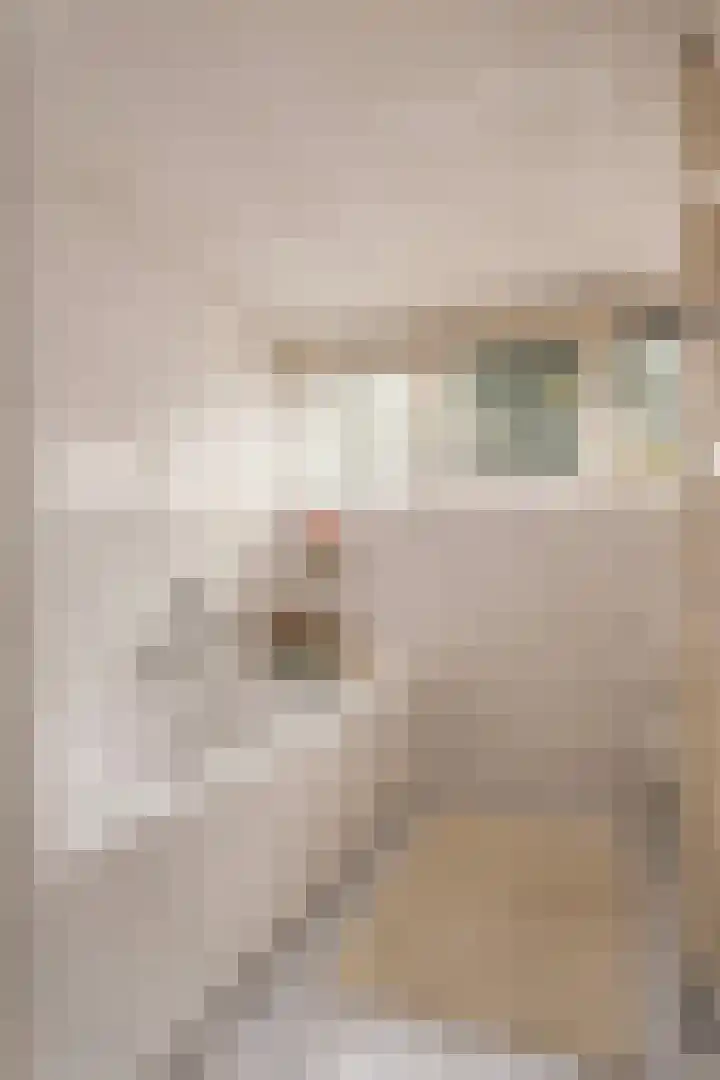 Gasthuisstraat 5 Gemonde thumbnail 27