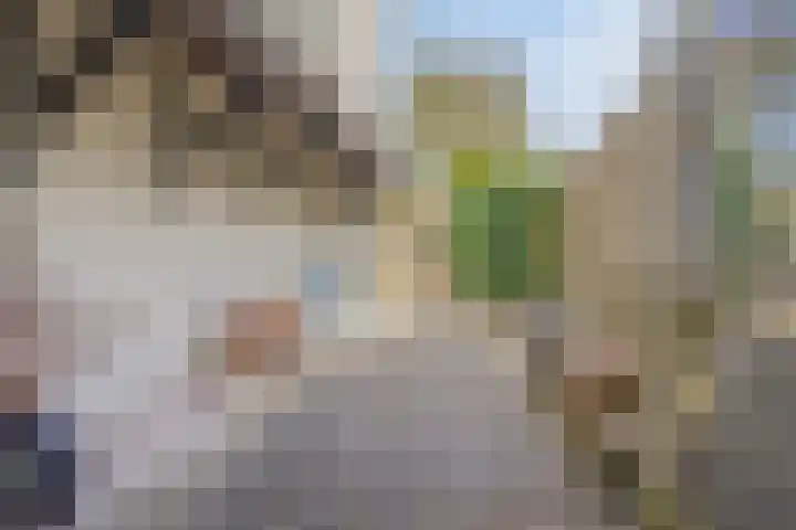 Gasthuisstraat 5 Gemonde thumbnail 30