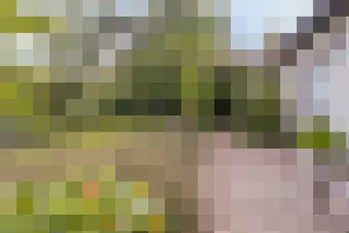 Gasthuisstraat 5 Gemonde thumbnail 33