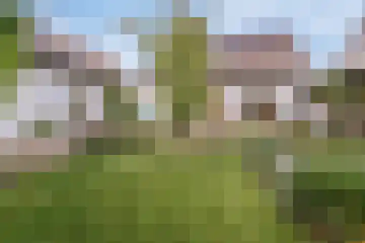Gasthuisstraat 5 Gemonde thumbnail 34