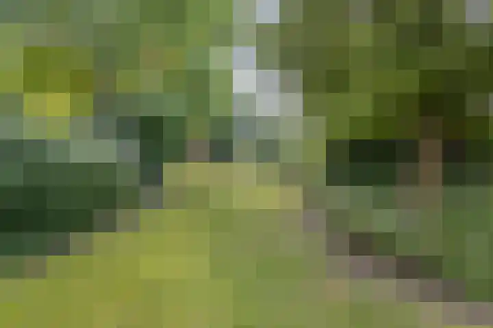 Gasthuisstraat 5 Gemonde thumbnail 35