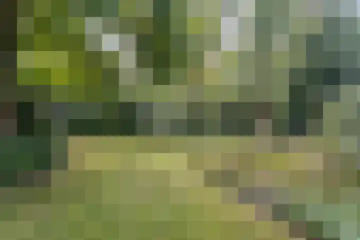 Gasthuisstraat 5 Gemonde thumbnail 36