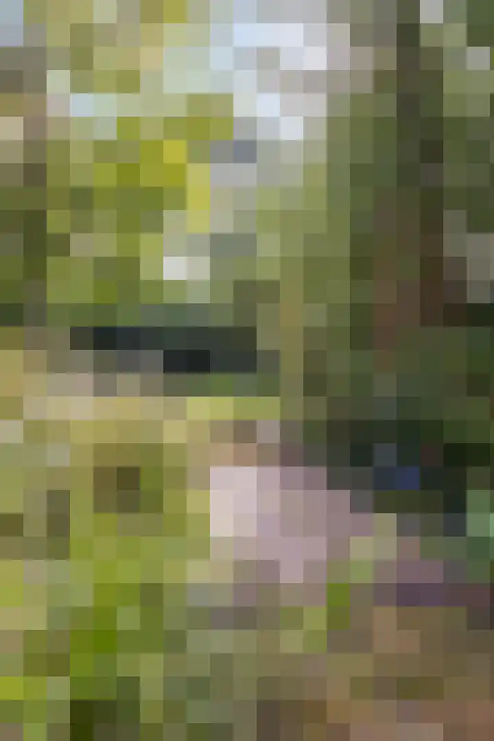 Gasthuisstraat 5 Gemonde thumbnail 38
