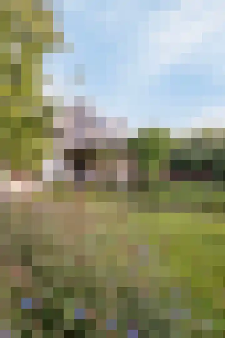 Gasthuisstraat 5 Gemonde thumbnail 39