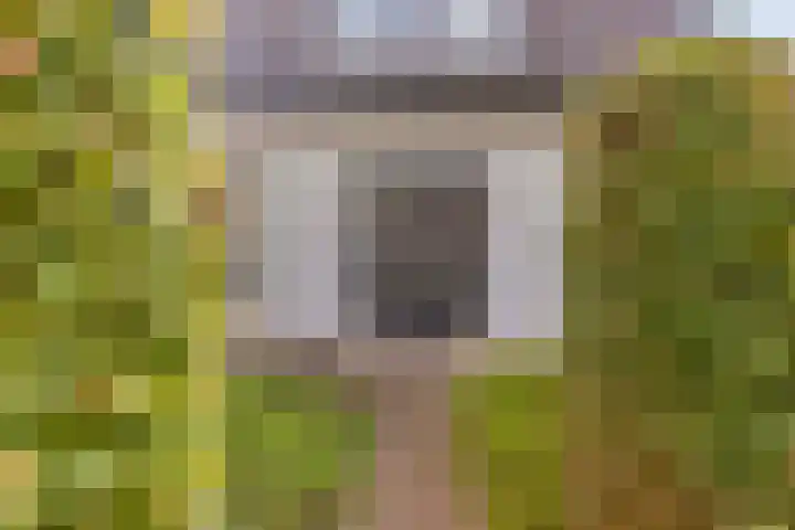 Gasthuisstraat 5 Gemonde thumbnail 4