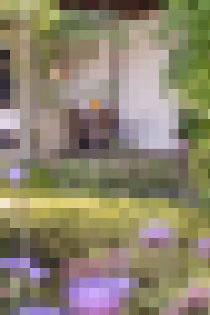 Gasthuisstraat 5 Gemonde thumbnail 41