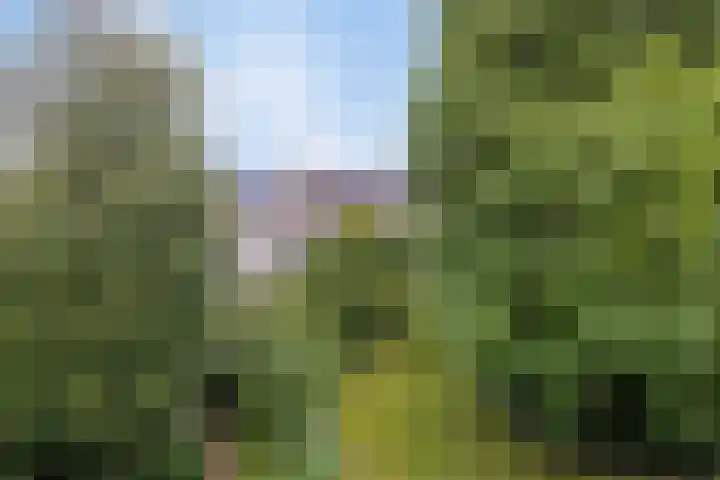 Gasthuisstraat 5 Gemonde thumbnail 44